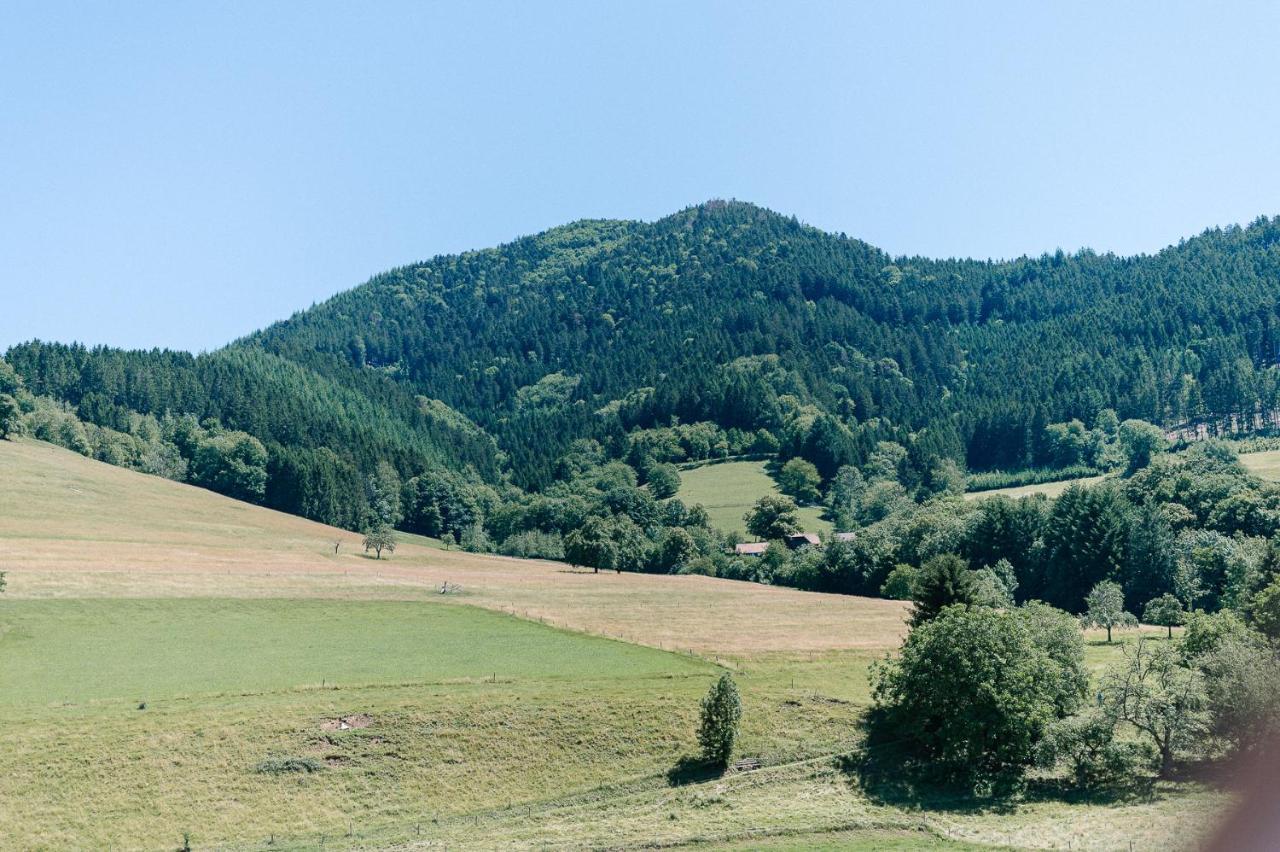 Rustikale 3 Zi.-Fewo Naehe Freiburg 70Qm Simonswald Buitenkant foto